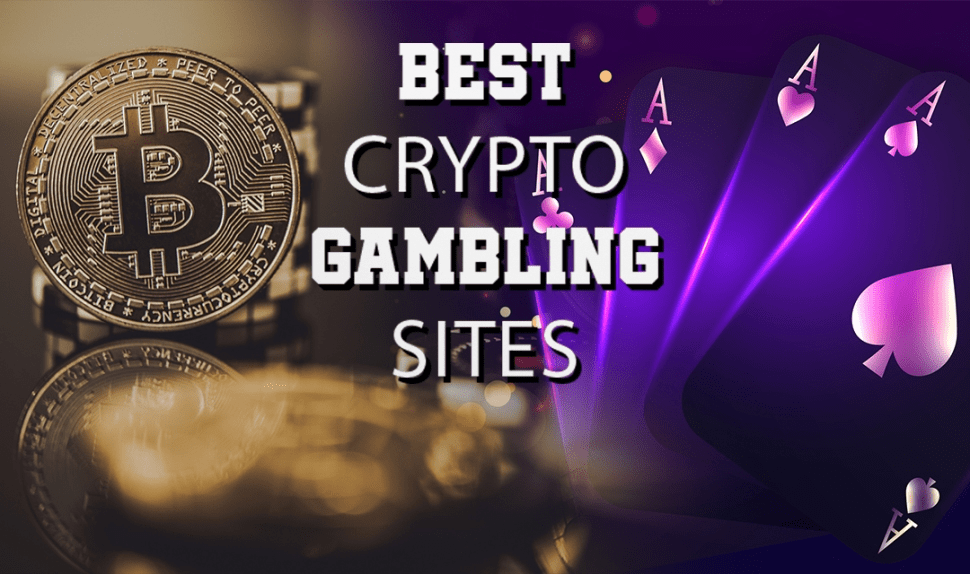 webnexttech | 30+ Best Crypto Gambling Sites in 2023 with Huge Bonuses, Most Bitcoin Gambling Options, and More