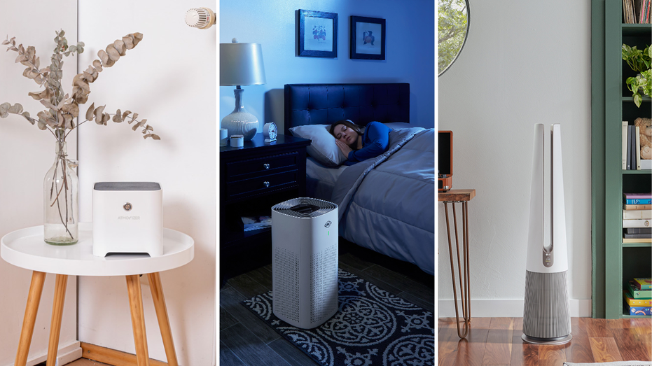 webnexttech | Best air purifiers to buy for wildfire smoke and more, according to experts